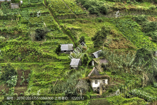 農(nóng)村的山坡上馬德拉。