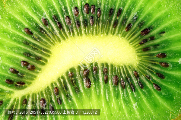 獼猴桃特寫
