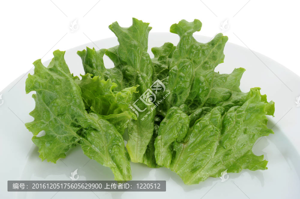 薩拉德