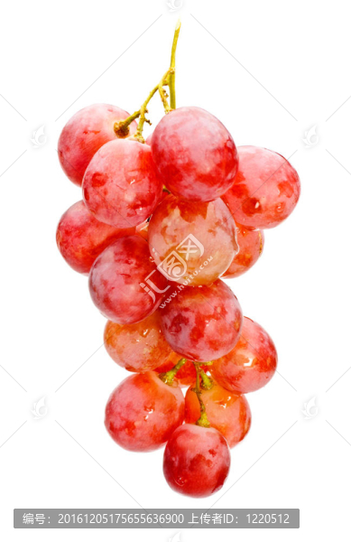 一串紅葡萄