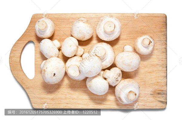 養(yǎng)殖蘑菇砧板