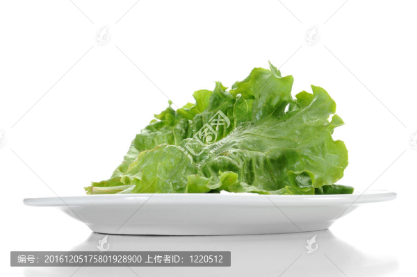 薩拉德