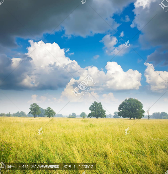 夏天的風(fēng)景