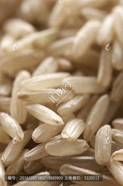 Brown,rice的特寫
