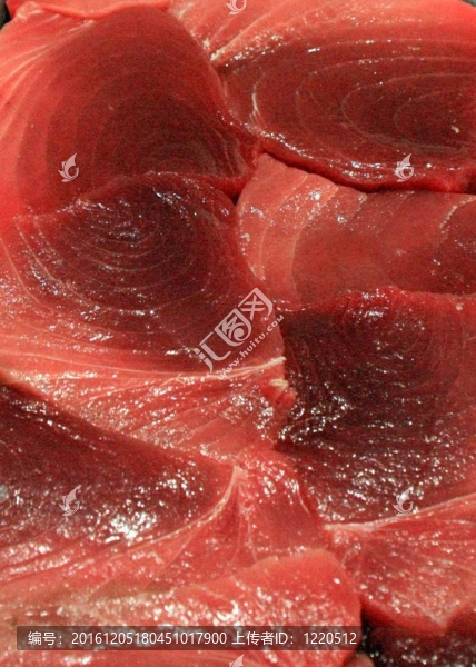 金槍魚