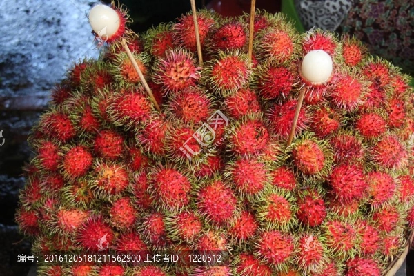 紅毛丹