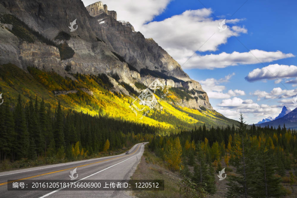 宏偉的美國道路。景觀