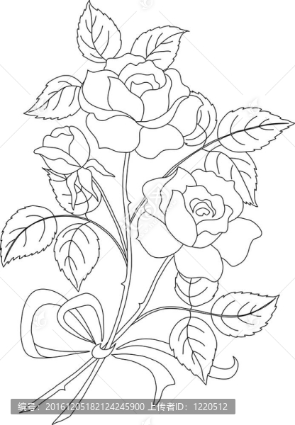 花玫瑰；輪廓