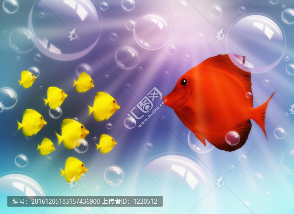 水下的魚(yú)和氣泡