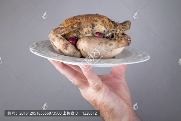 小母雞