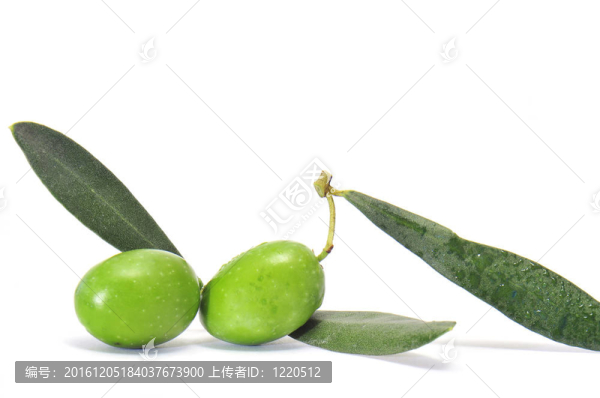 橄欖