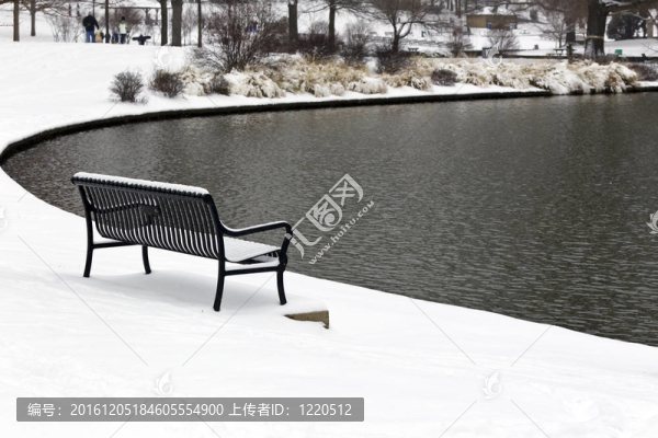 冬天的雪景