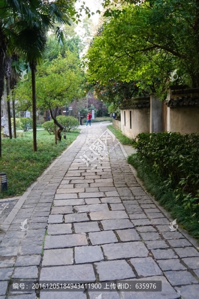 南方風(fēng)景