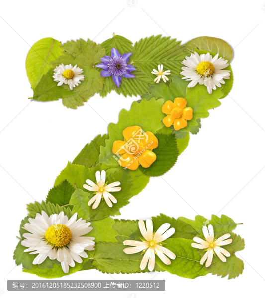 綠色的葉子和花