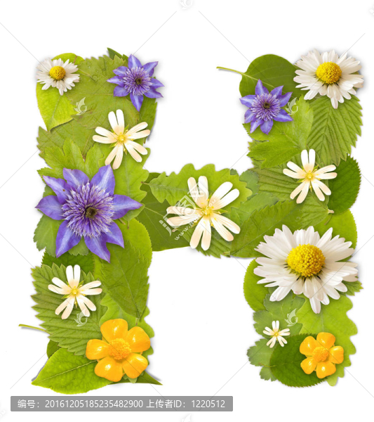 綠色的葉子和花