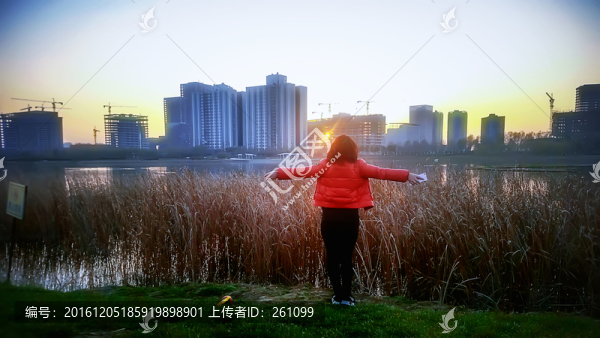 鄭州龍子湖風(fēng)光