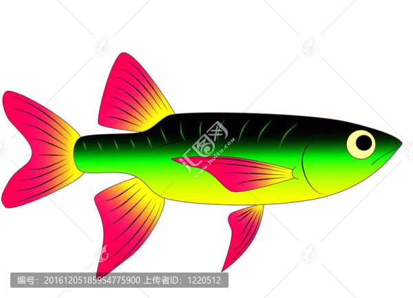 五顏六色的玩具魚