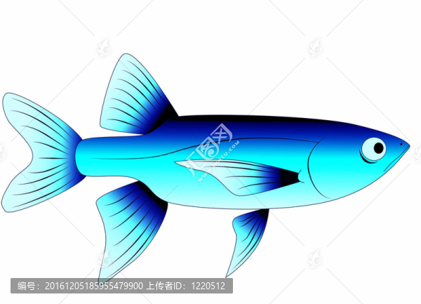五顏六色的玩具魚
