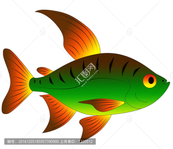 五顏六色的玩具魚