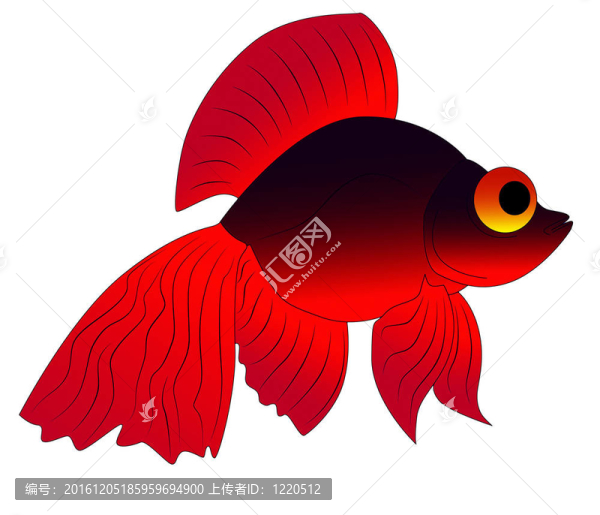 五顏六色的玩具魚(yú)