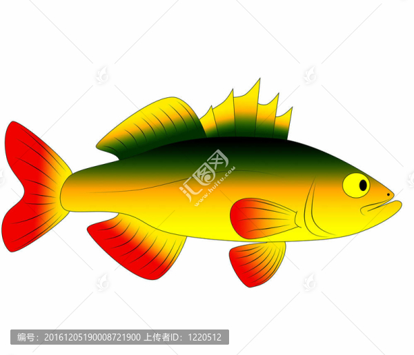 五顏六色的玩具魚