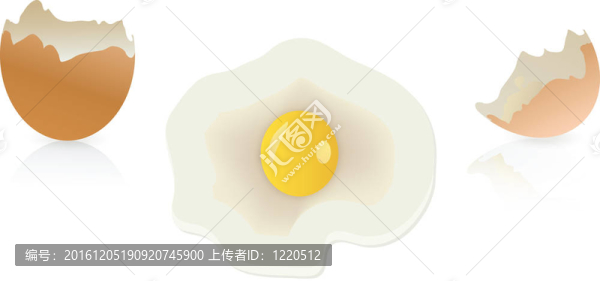 褐色和破碎的蛋殼