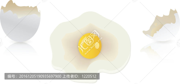 白雞蛋和碎雞蛋殼隔離