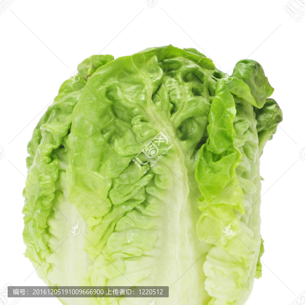 生菜的心