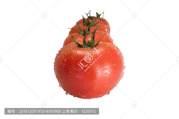 成熟番茄組