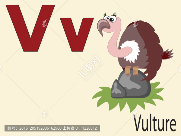 動(dòng)物字母V