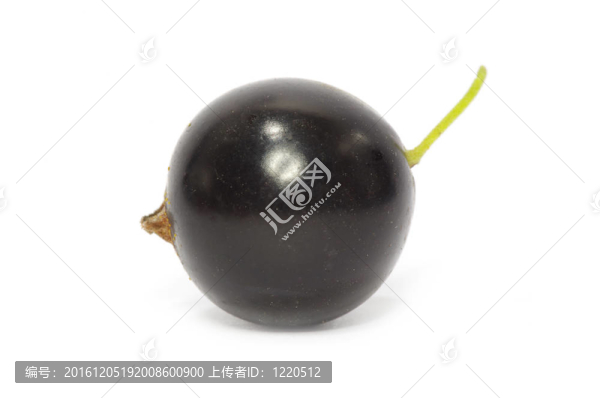 黑加侖