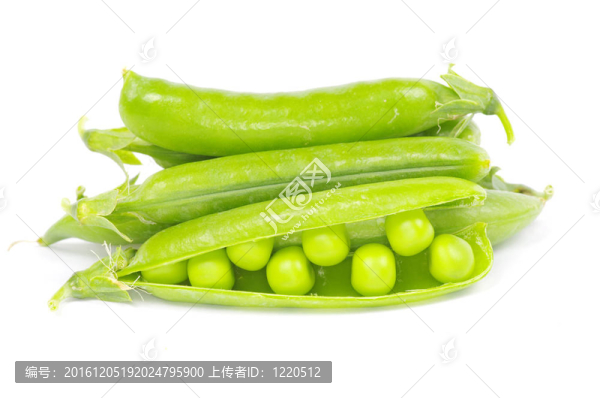 豌豆