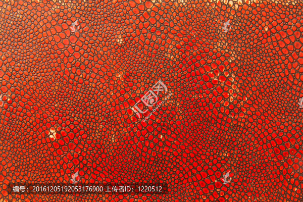 紙上的垃圾模式