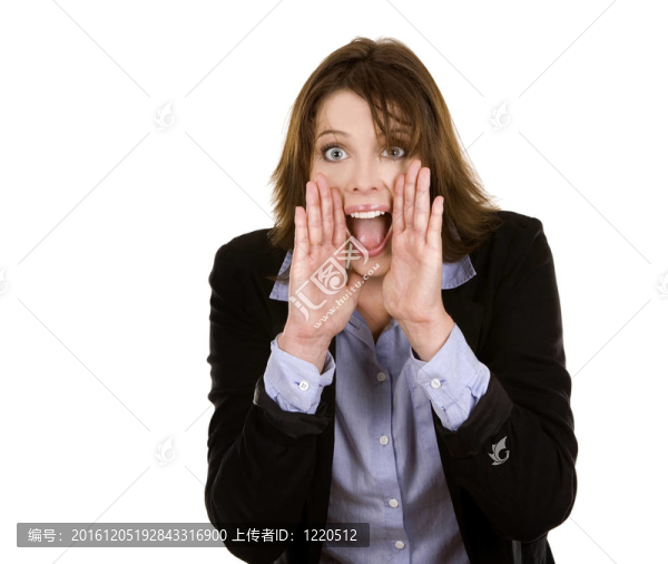 女企業(yè)家