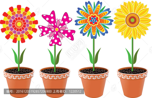 花盆里的花
