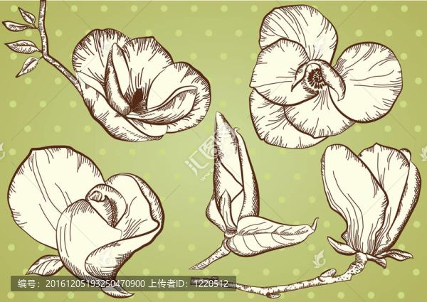 Flowers。