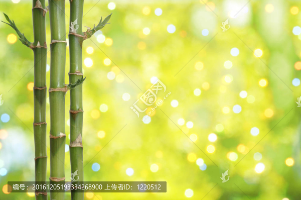 幸運(yùn)竹的背景