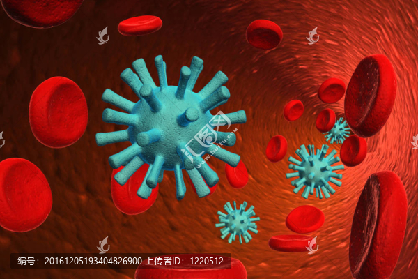 與病毒的血細(xì)胞