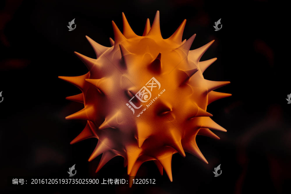 病毒