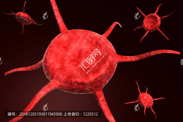 血細(xì)胞的東西
