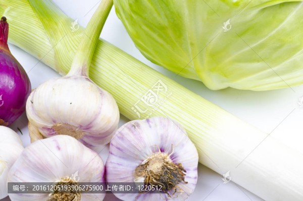 大蒜；白菜；韭菜