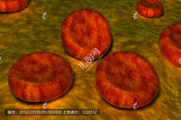 血細(xì)胞