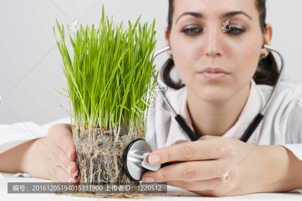醫(yī)生檢查了植物