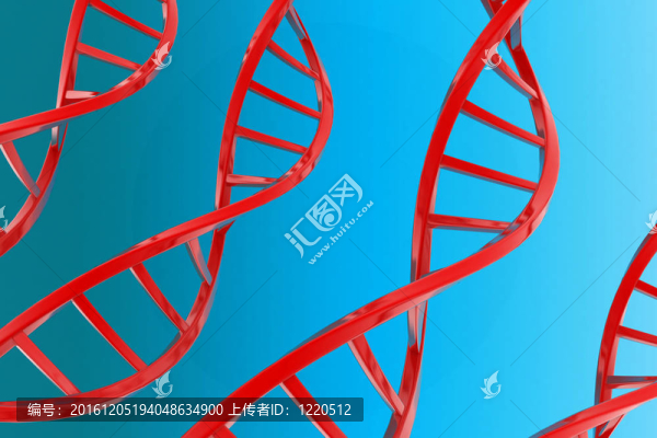 DNA