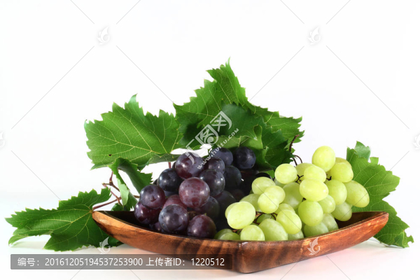 葡萄