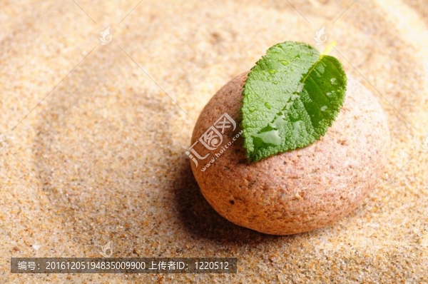 禪園