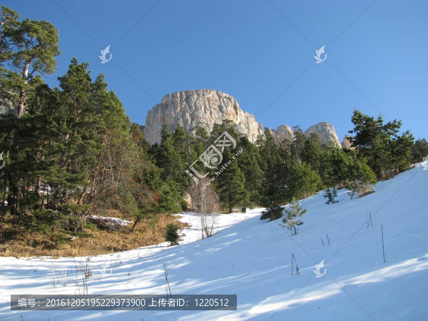 山