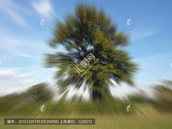 鄉(xiāng)村景觀與縮放模糊