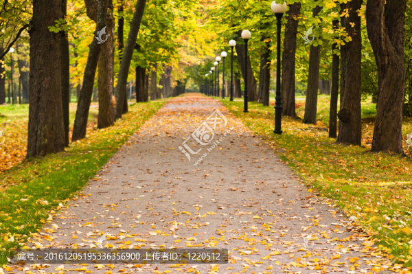 秋天的公園Kadriorg；塔林