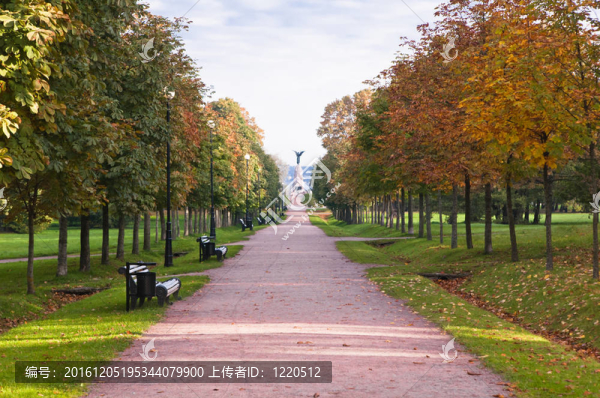 秋天的公園Kadriorg；塔林